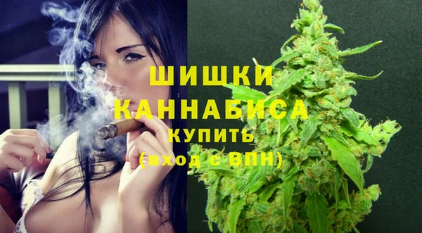 метадон Елизово