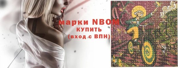 метадон Елизово