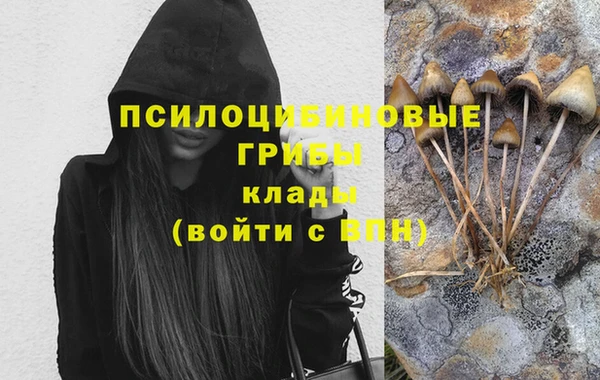 героин Ельня