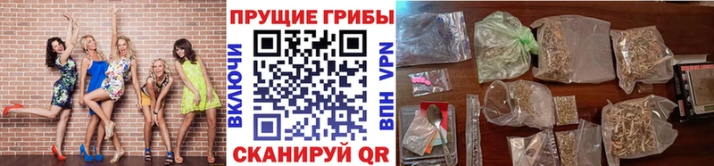 Купить где  Салават  Галлюциногенные грибы MAGIC MUSHROOMS 
